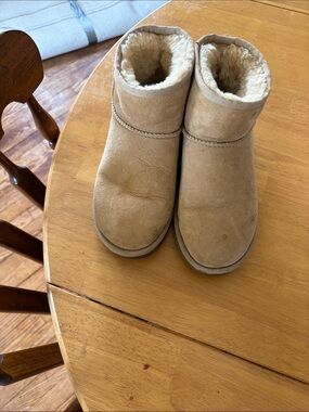 Tan uggs short